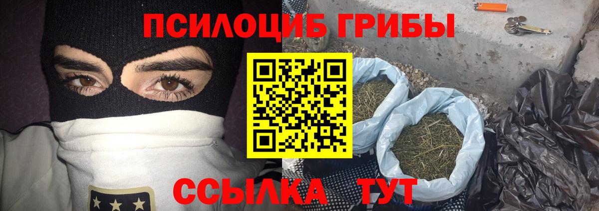 где найти   Вход с VPN  Саяногорск  Псилоцибиновые грибы MAGIC MUSHROOMS  Галлюциногенные грибы Psilocybine cubensis 